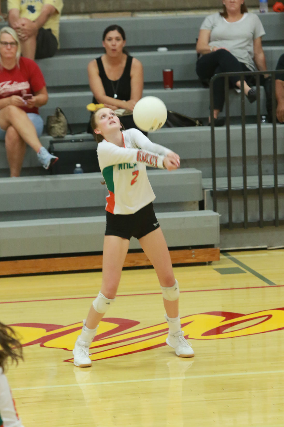 Gallery: Girls volleyball - Wheeler at Andrean